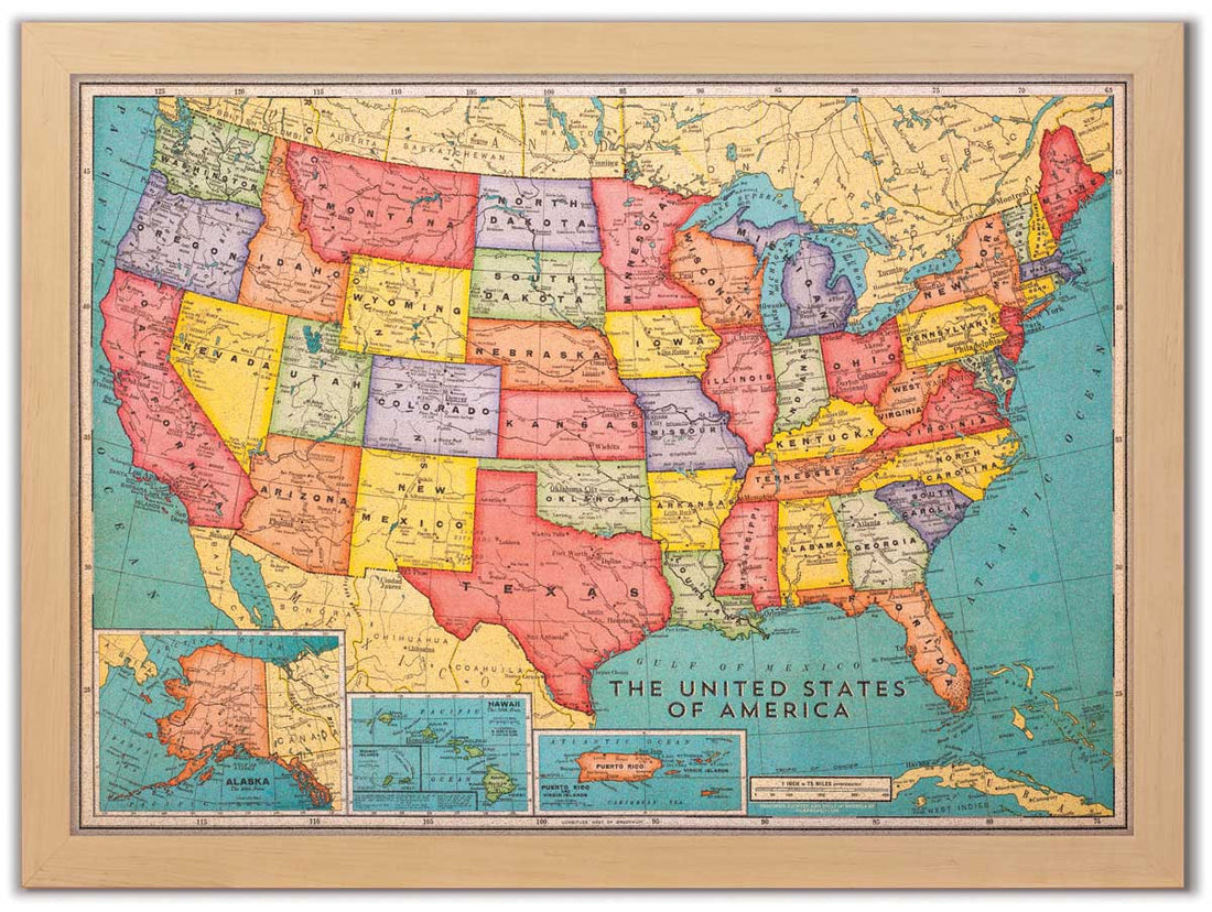 Cork Board USA Map