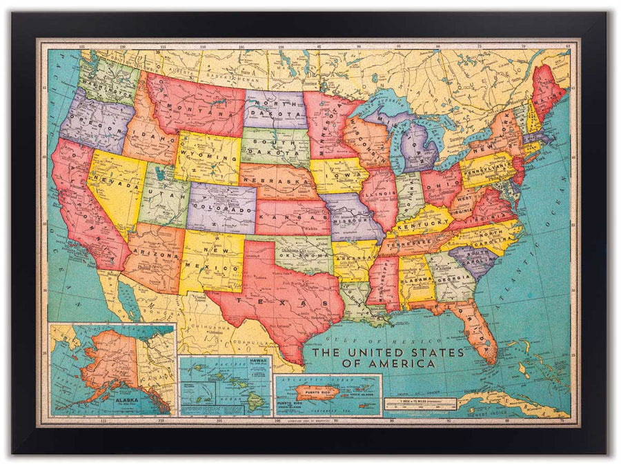 Cork Board USA Map