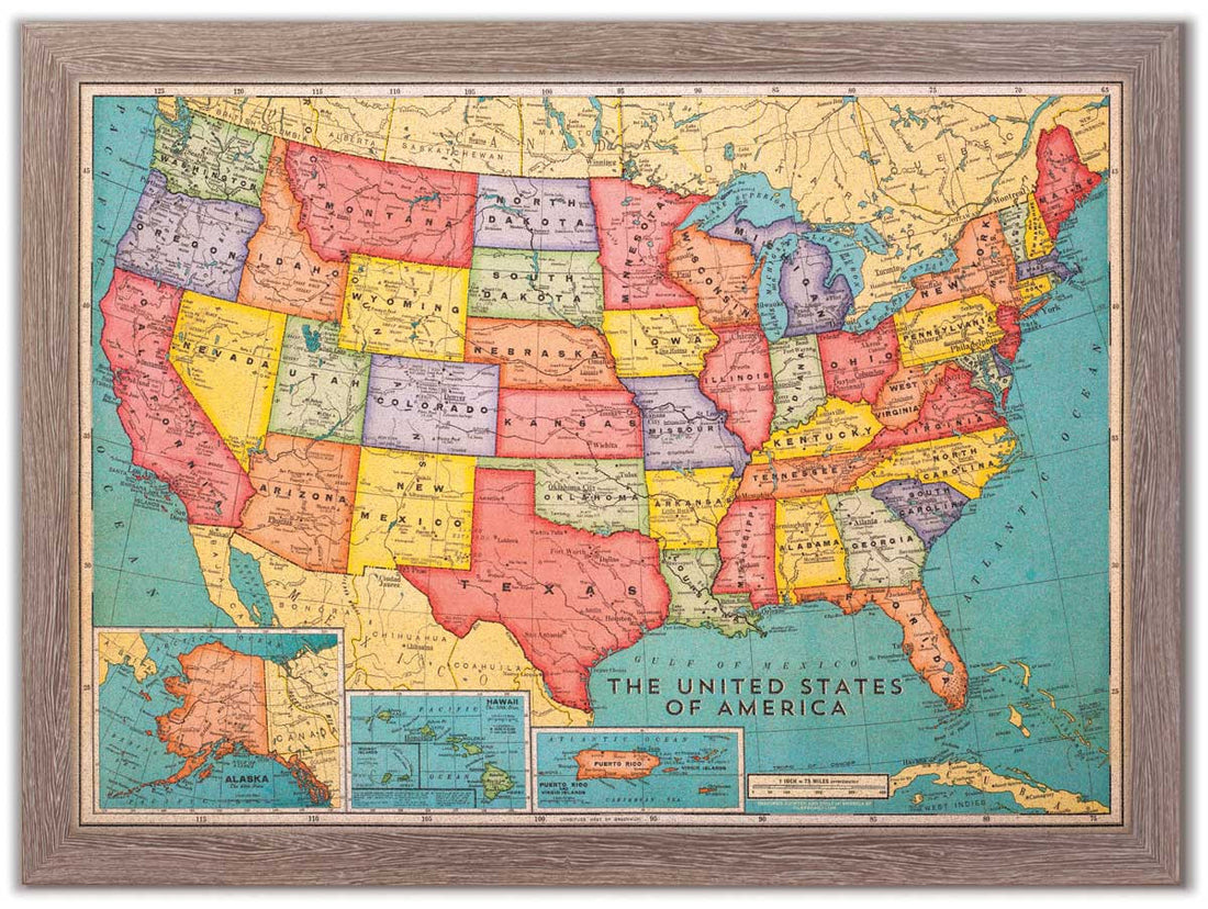 Cork Board USA Map