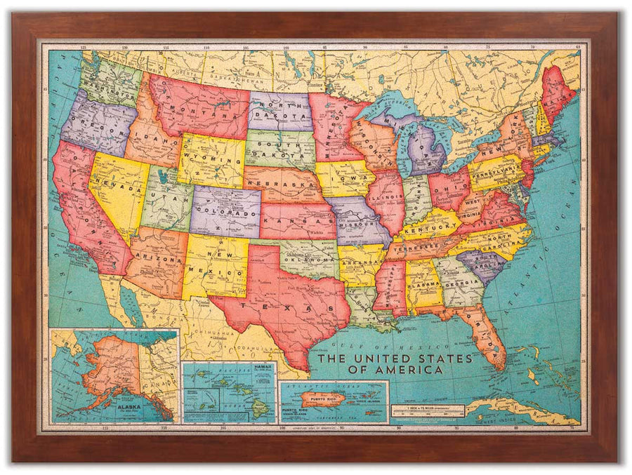 Cork Board USA Map