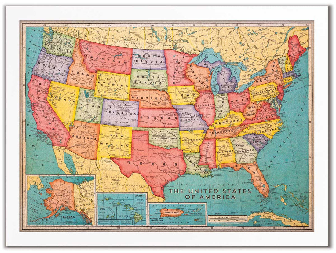 Cork Board USA Map